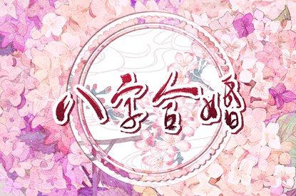 紫微命格详批 天机命盘 周清河紫微斗数